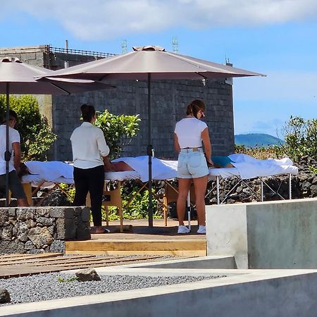 فيلا As Casas Da Vinha Criacao Velha المظهر الخارجي الصورة
