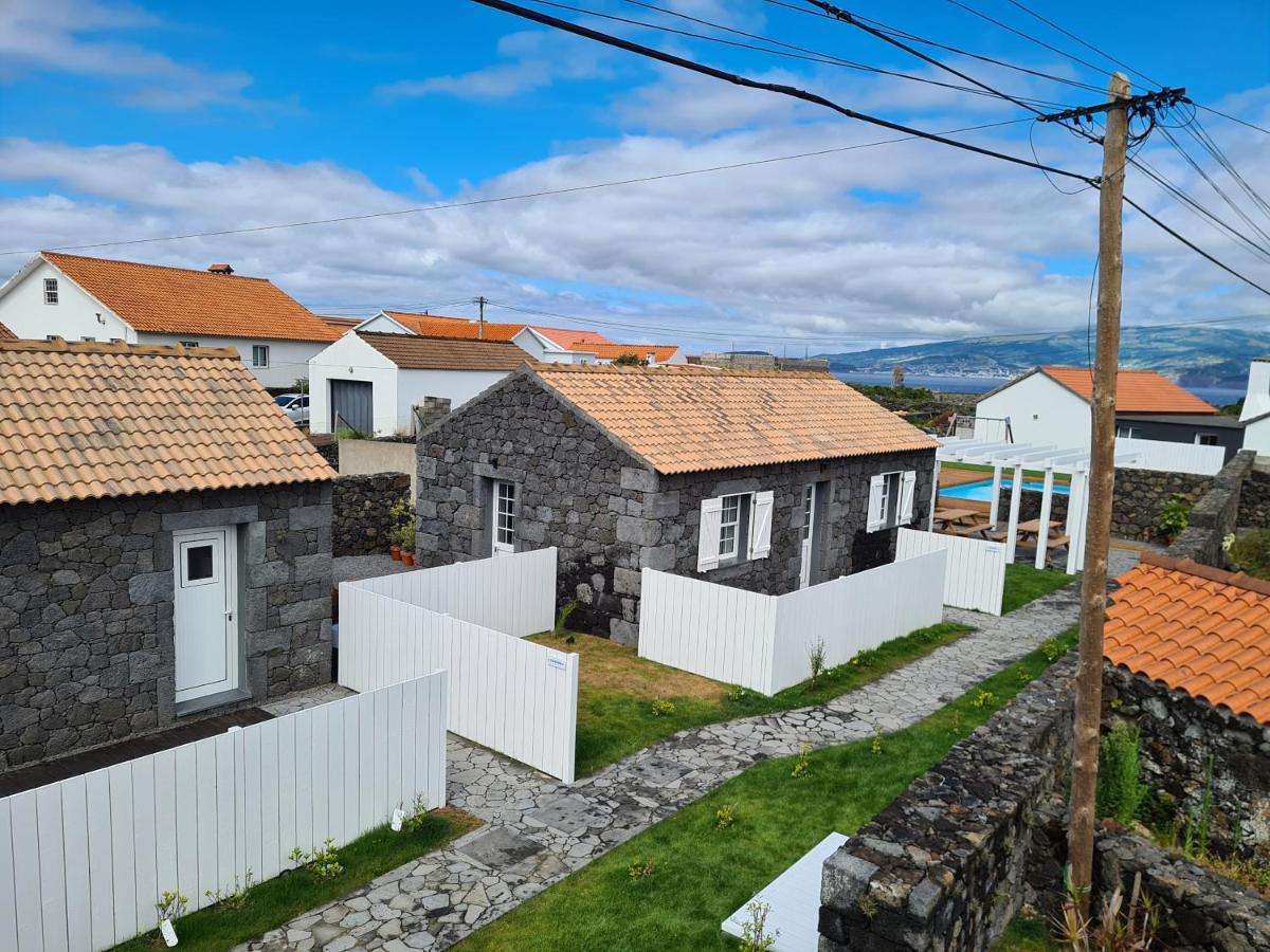 فيلا As Casas Da Vinha Criacao Velha المظهر الخارجي الصورة