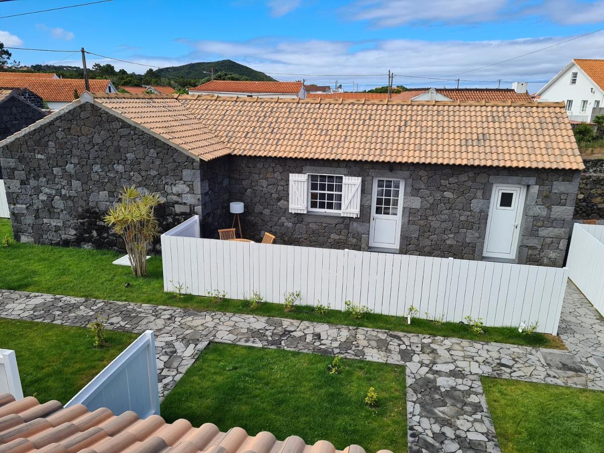 فيلا As Casas Da Vinha Criacao Velha المظهر الخارجي الصورة