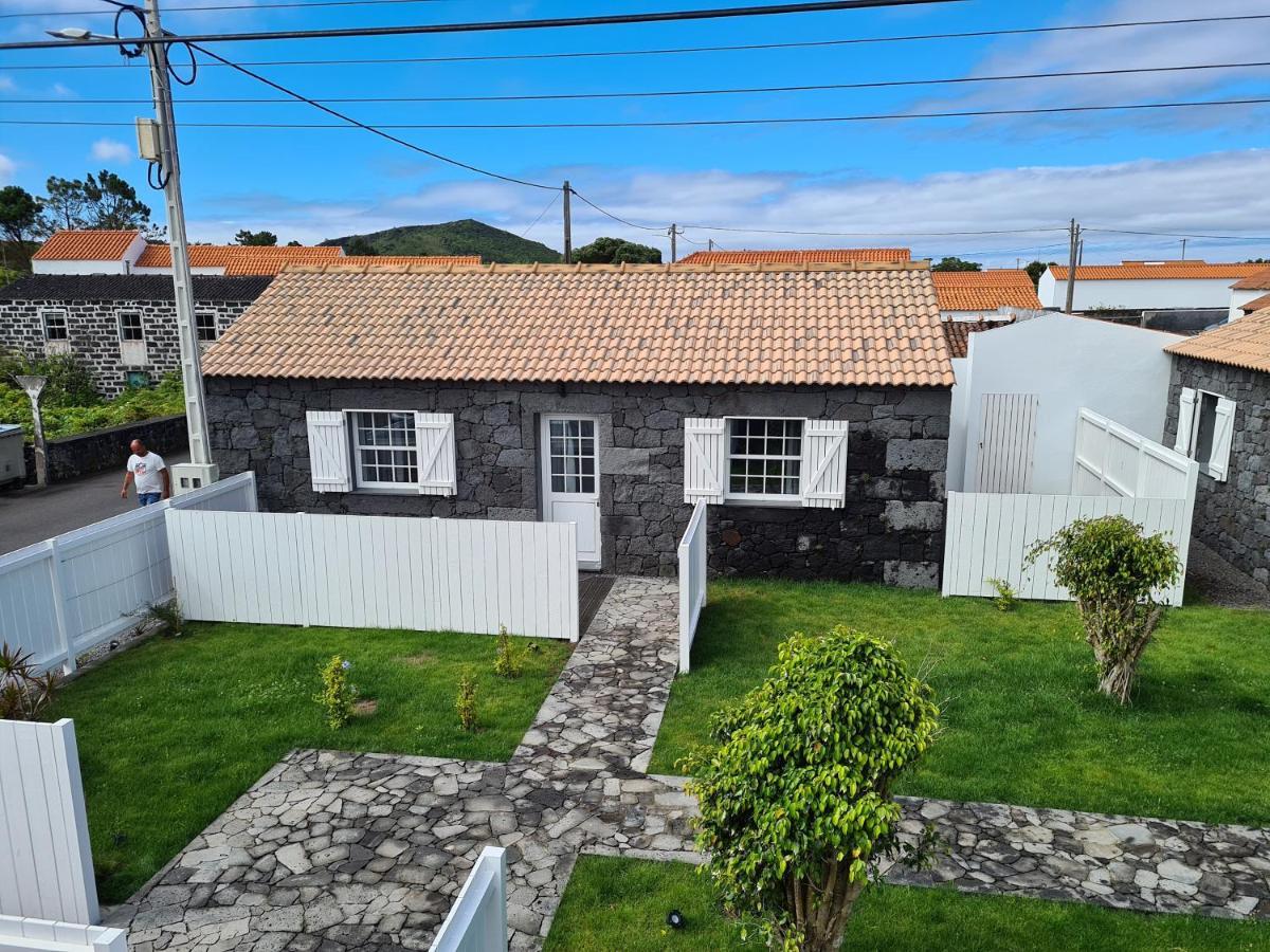 فيلا As Casas Da Vinha Criacao Velha المظهر الخارجي الصورة